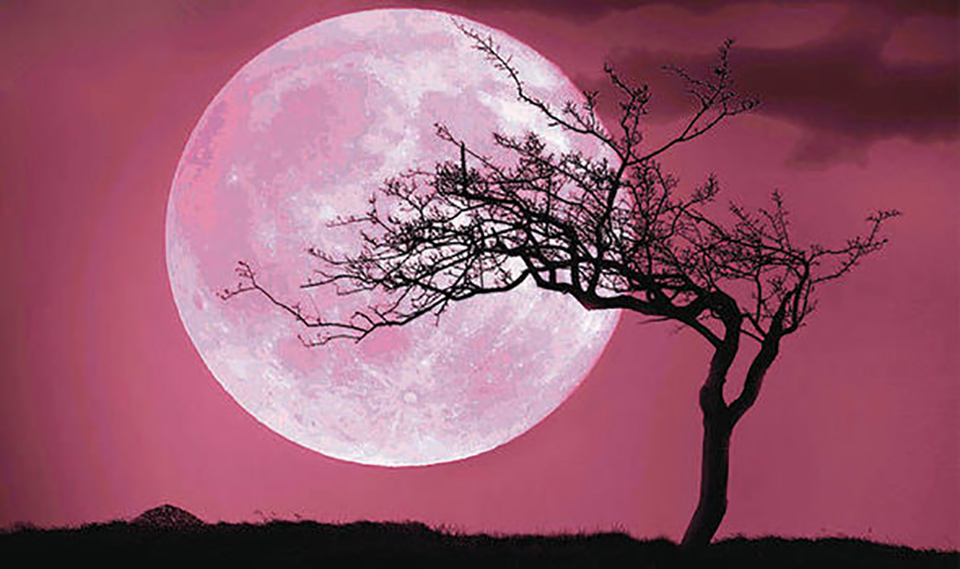 Pink Moon April 2020 Photos April's pink supermoon 2020 WWLP